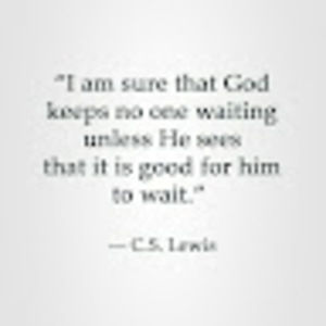 Meet your Posher, Lena